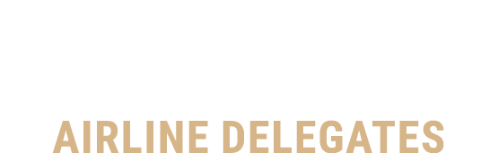 313 airline delegates